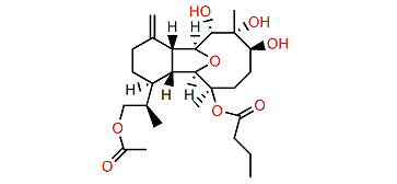 Krempfielin Q